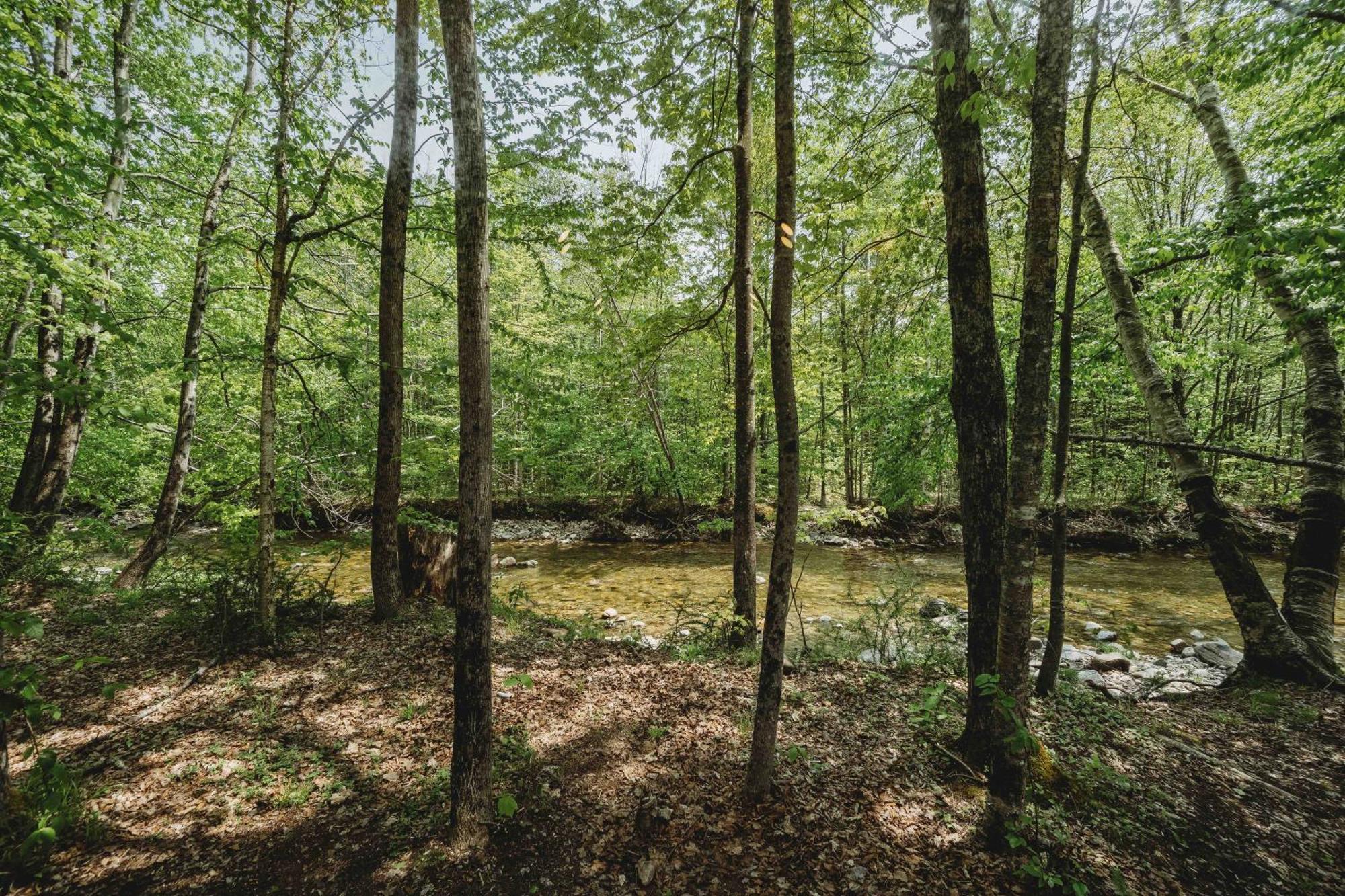 Lumen Nature Retreat Woodstock Phòng bức ảnh